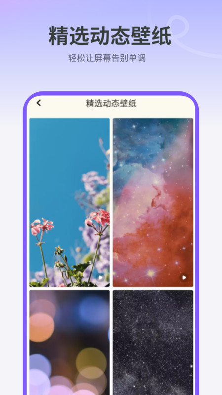 天天屏保图1
