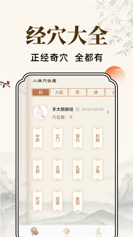 穴位经脉详解手机版