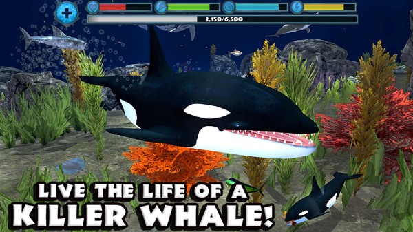 座头鲸模拟器（The Humpback Whales）图2