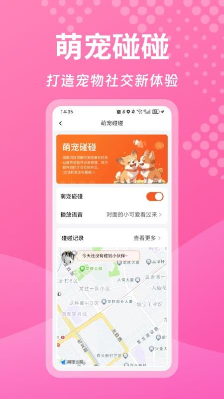 宠悦悦Pro软件图3