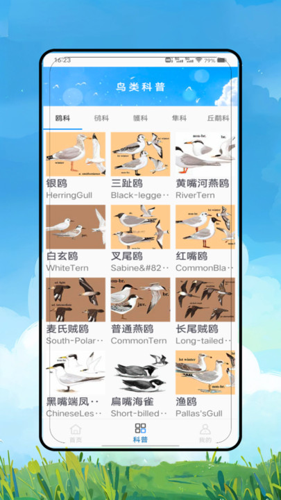 鸟语翻译精灵软件