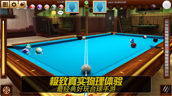 Real Pool 3D游戏