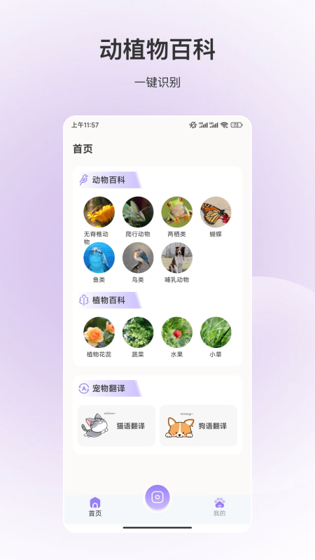 动物识别app图2