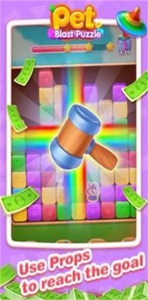 Pet Blast Puzzle游戏图1