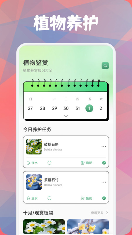 鑫合盛花app