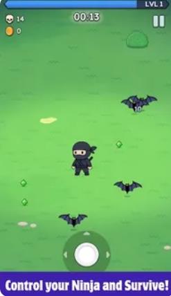 Ninja Survivor最新版