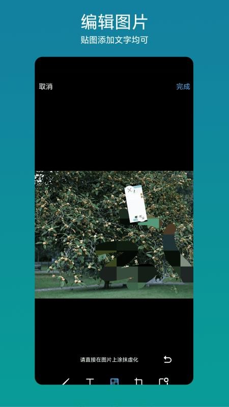 网页抓图宝app图3