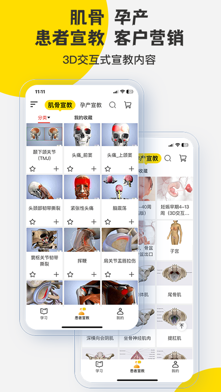 3Dbody解剖软件图1