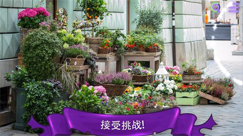找一只猫游戏图1