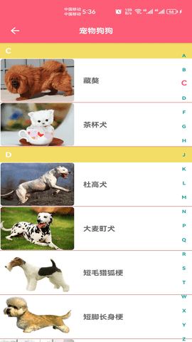 宠物宝宝大全手机版图2