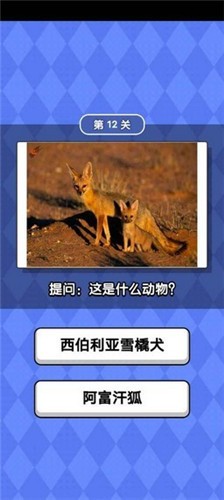 动物滑滑乐游戏