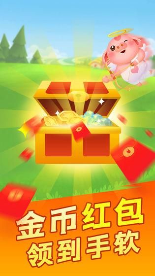 阳光养猪场游戏