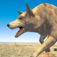Wolf Sim Update 2020游戏图标