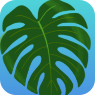 植物疗愈：纽约时光安装器图标