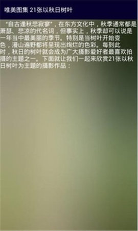 图行天下app