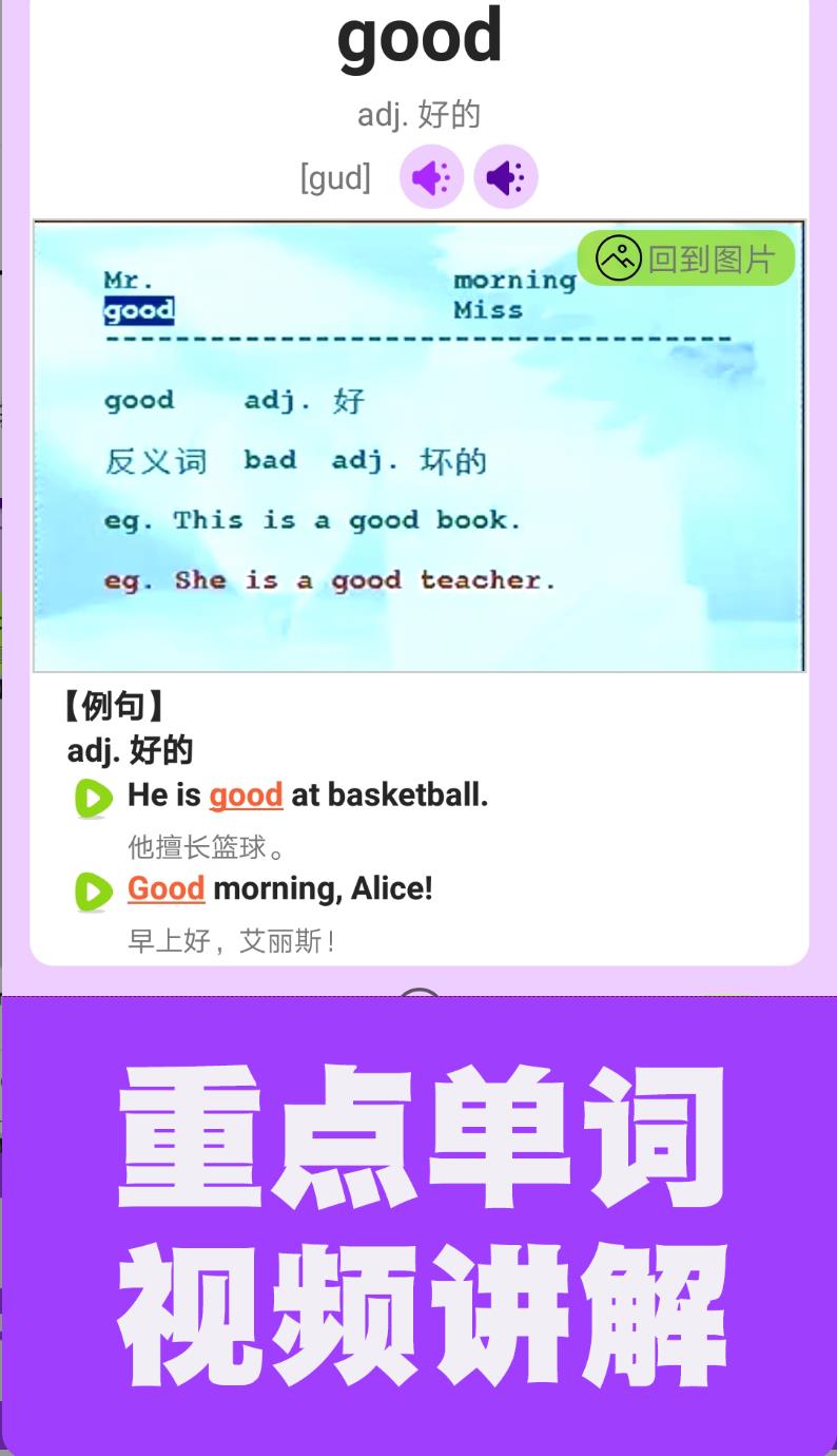 初中英语单词通app图3
