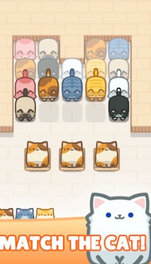 blockcatpuzzle游戏图3