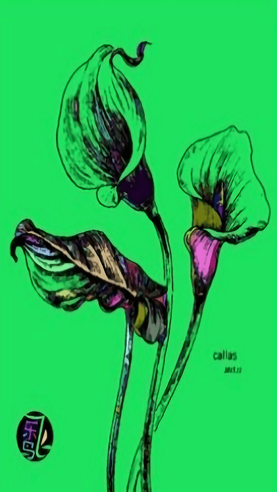 植物填色画画游戏