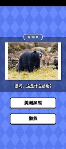 动物滑滑乐游戏图1