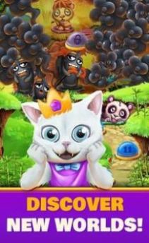 皇家之谜（Royal Puzzle）游戏图3
