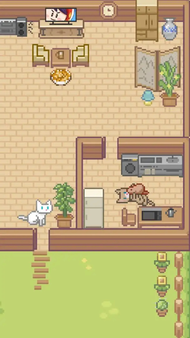 Miao屋游戏图2