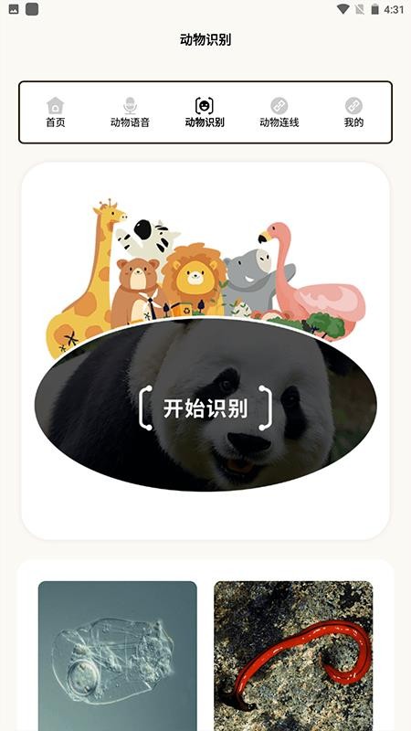 动物世界i软件图1