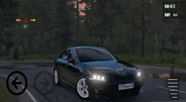 KAZ Auto Sim手机版图3