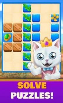 皇家之谜（Royal Puzzle）游戏图2