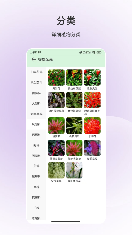 动物识别app图1