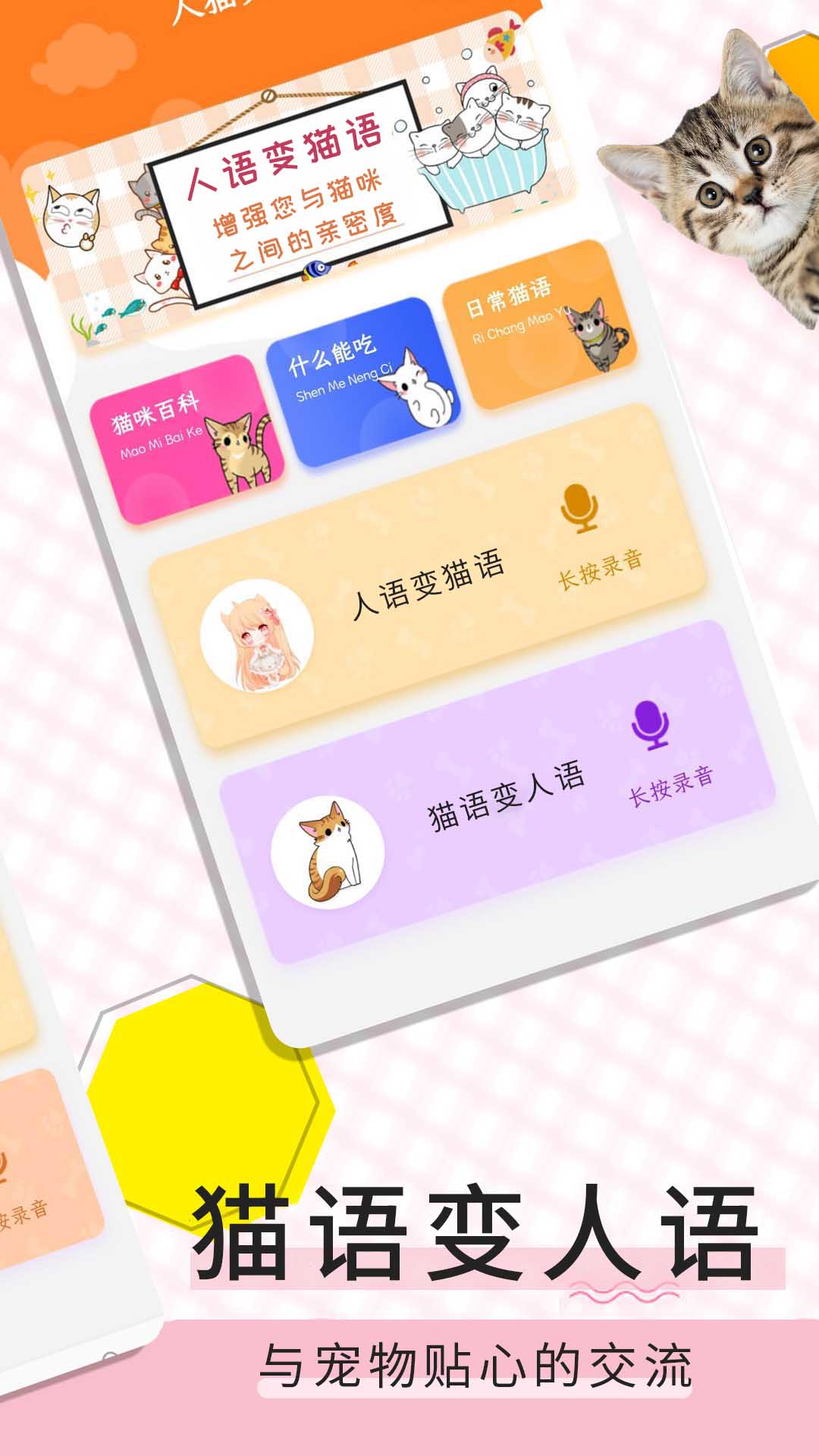 猫语翻译宝app图2