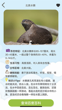 Volnau软件图2