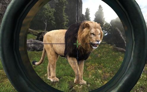 狩猎冲突（Hunting Clash 2020: Wild hunter shooting Simulator）图3