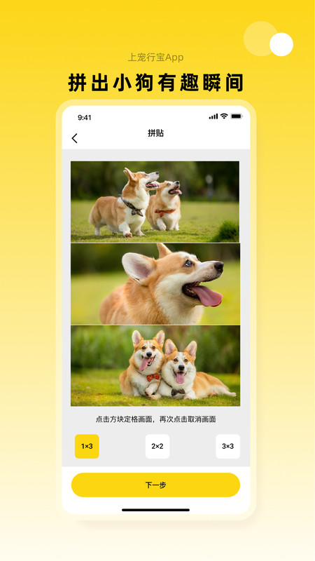宠行宝app图2