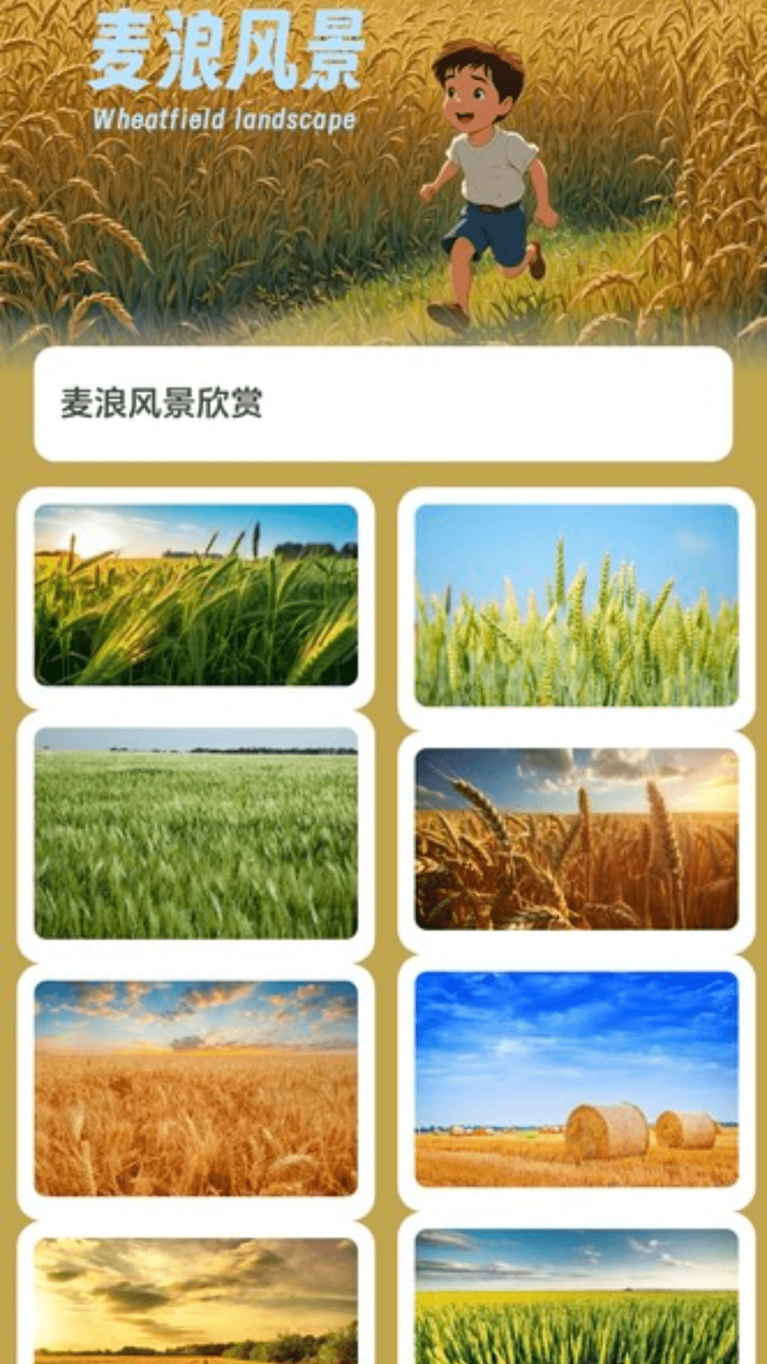 麦浪计步app图2