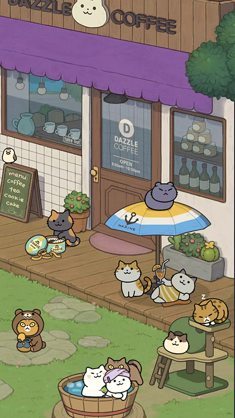 神秘猫咪字典图1