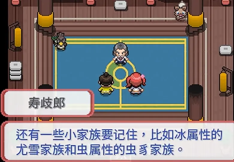 宝可梦武士道游戏图1