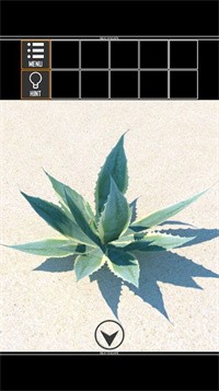 海上荒岛逃生（Island2）游戏图3