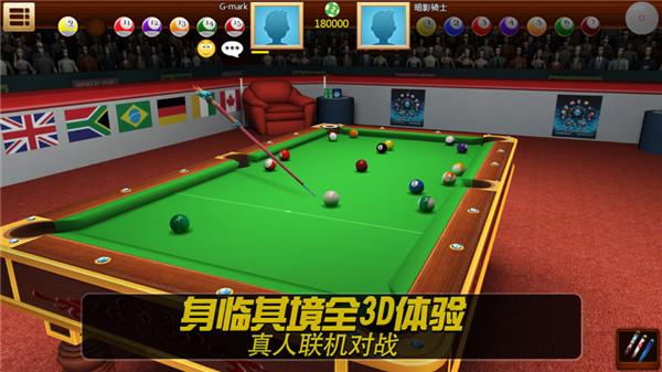 Real Pool 3D游戏
