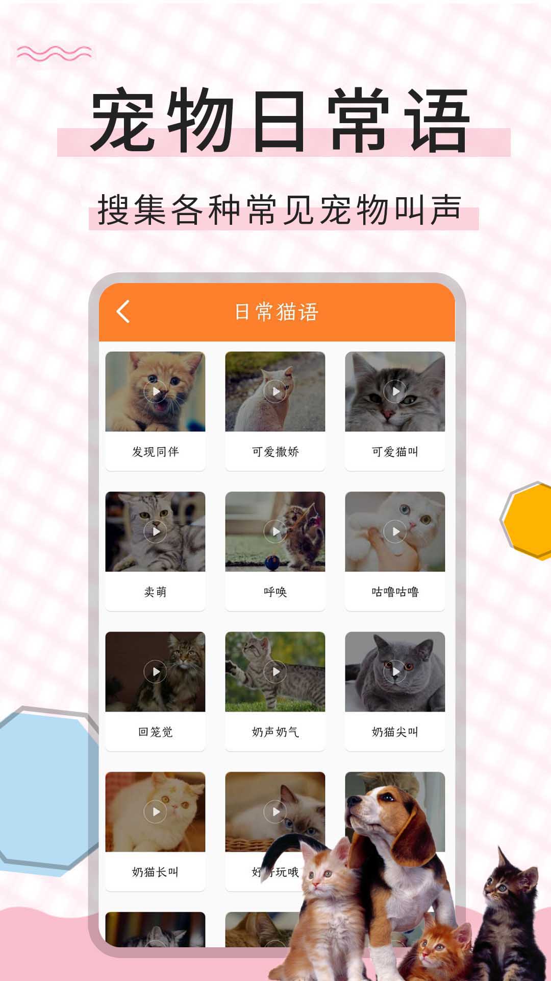 猫语翻译宝app图1