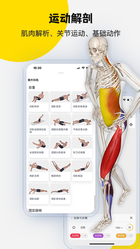 3Dbody解剖软件