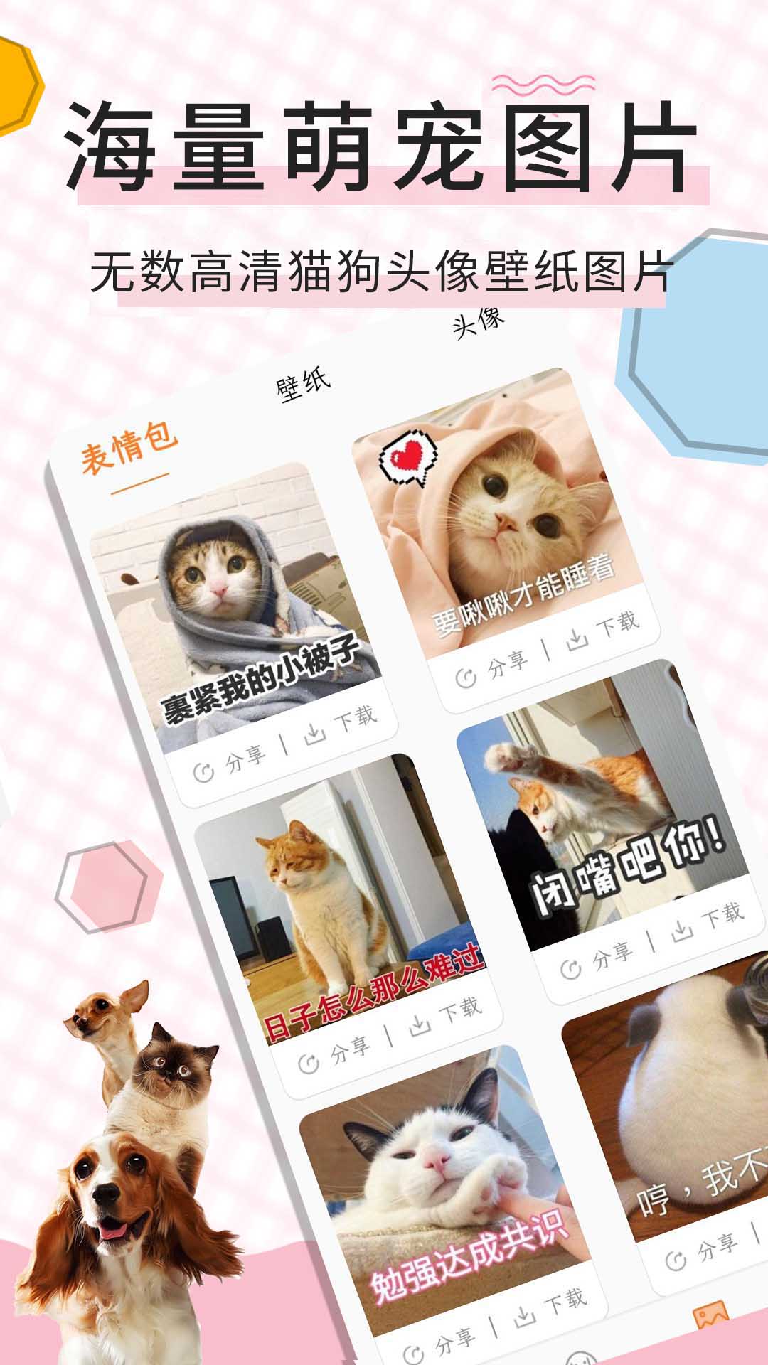 猫语翻译宝app图3