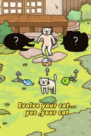 Cat Evolution World