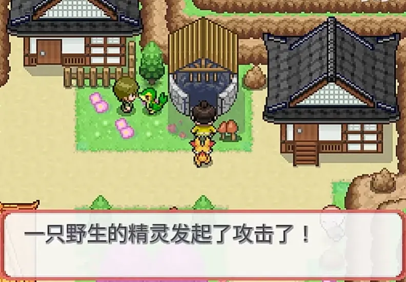 宝可梦武士道游戏图3