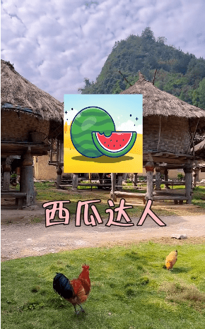 西瓜达人游戏图2