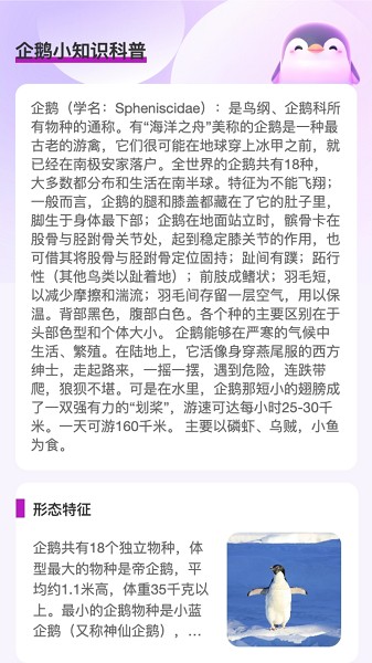 企鹅流量助手app