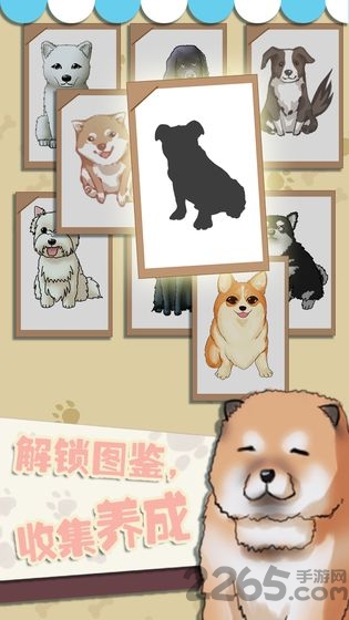 狗狗派对手游图3