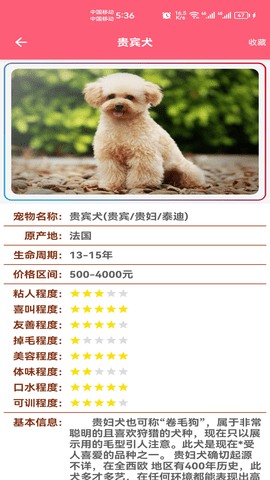 宠物宝宝大全手机版图3