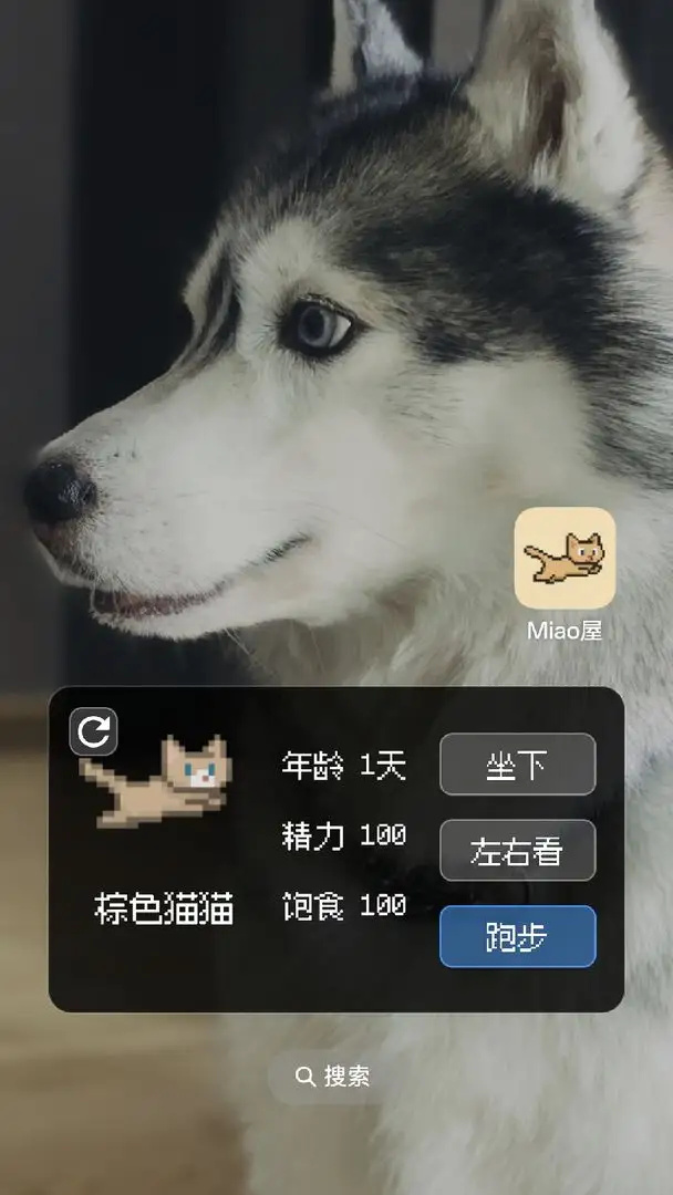 Miao屋游戏图1