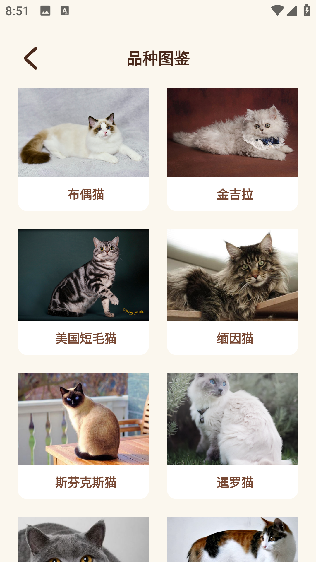 Peppycat猫语翻译器软件图3