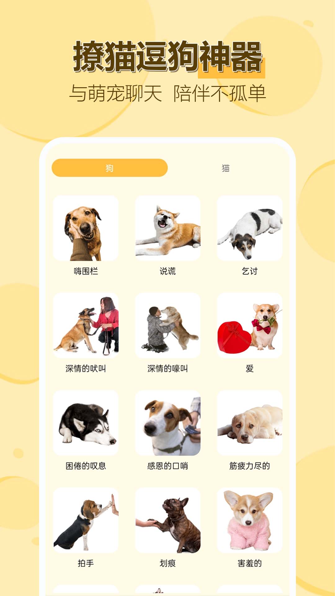 动物猫狗交流助手app图1